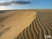 Sand dune in Fuerteventura