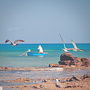 Fisherman in the harbour of Morro Jable