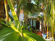 view trough the plam trees on the little terrace in front of surf camp bungalows